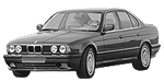 BMW E34 P328E Fault Code